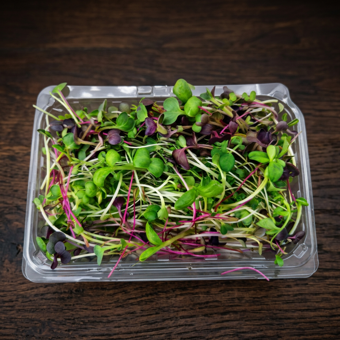 Microgreens - Premium Mix - Organic - 1 Box (75 gms) - organic produce from Satva Farm Bengaluru