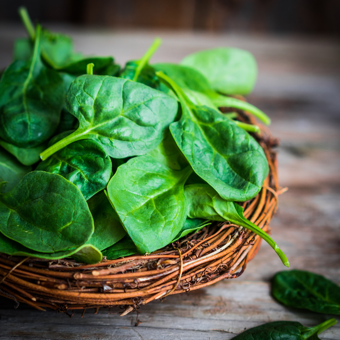 Cut Leaf Spinach - Organic - 200 gms - organic produce from Satva Farm Bengaluru