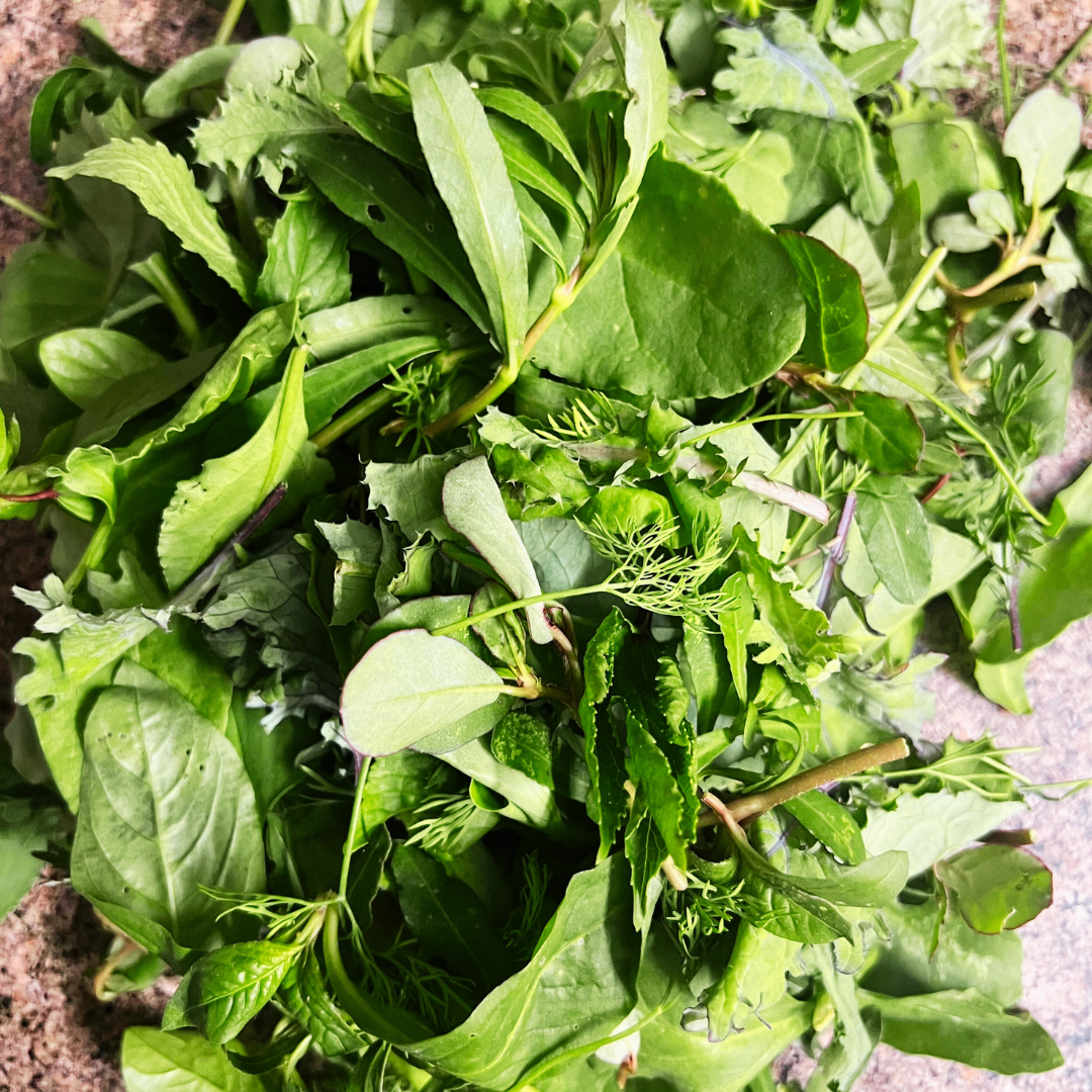 Organic Heirloom Greens Mix - 200 gms - Satva Farm Bengaluru