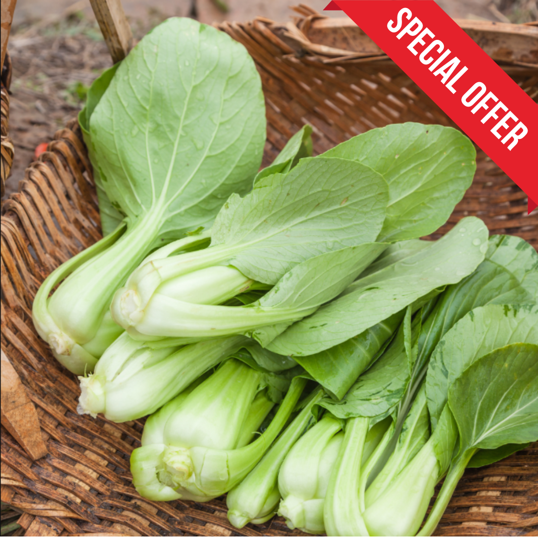 Baby Bok Choy - Organic - 300 gms