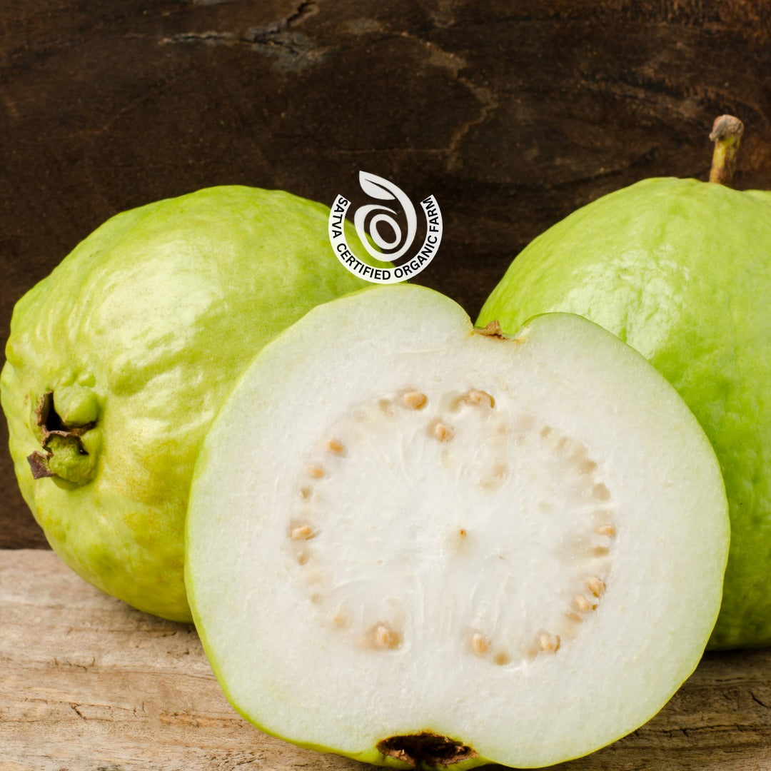 Tree Ripened Guava - Certified Organic - 1 KG