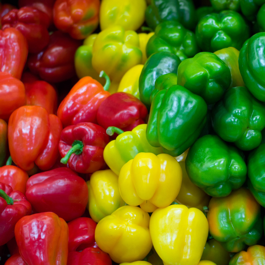 Coloured capsicum deals