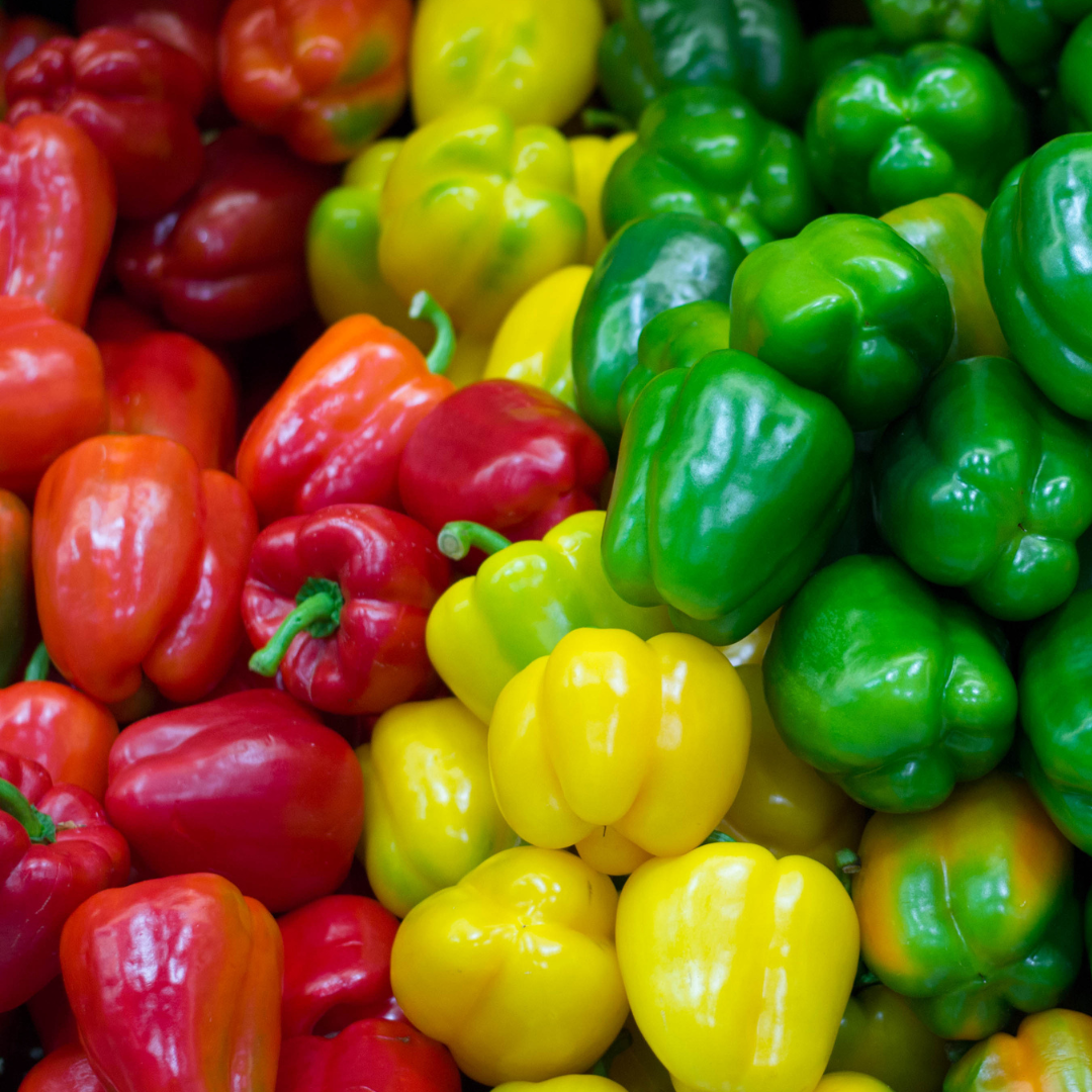 Colour Capsicum - Organic