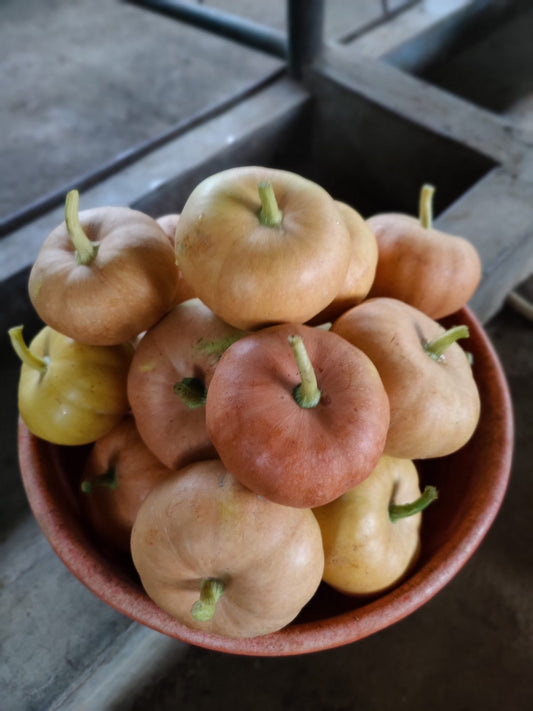 A traceable single-morning fruit harvest from Satva Farm near Bengaluru