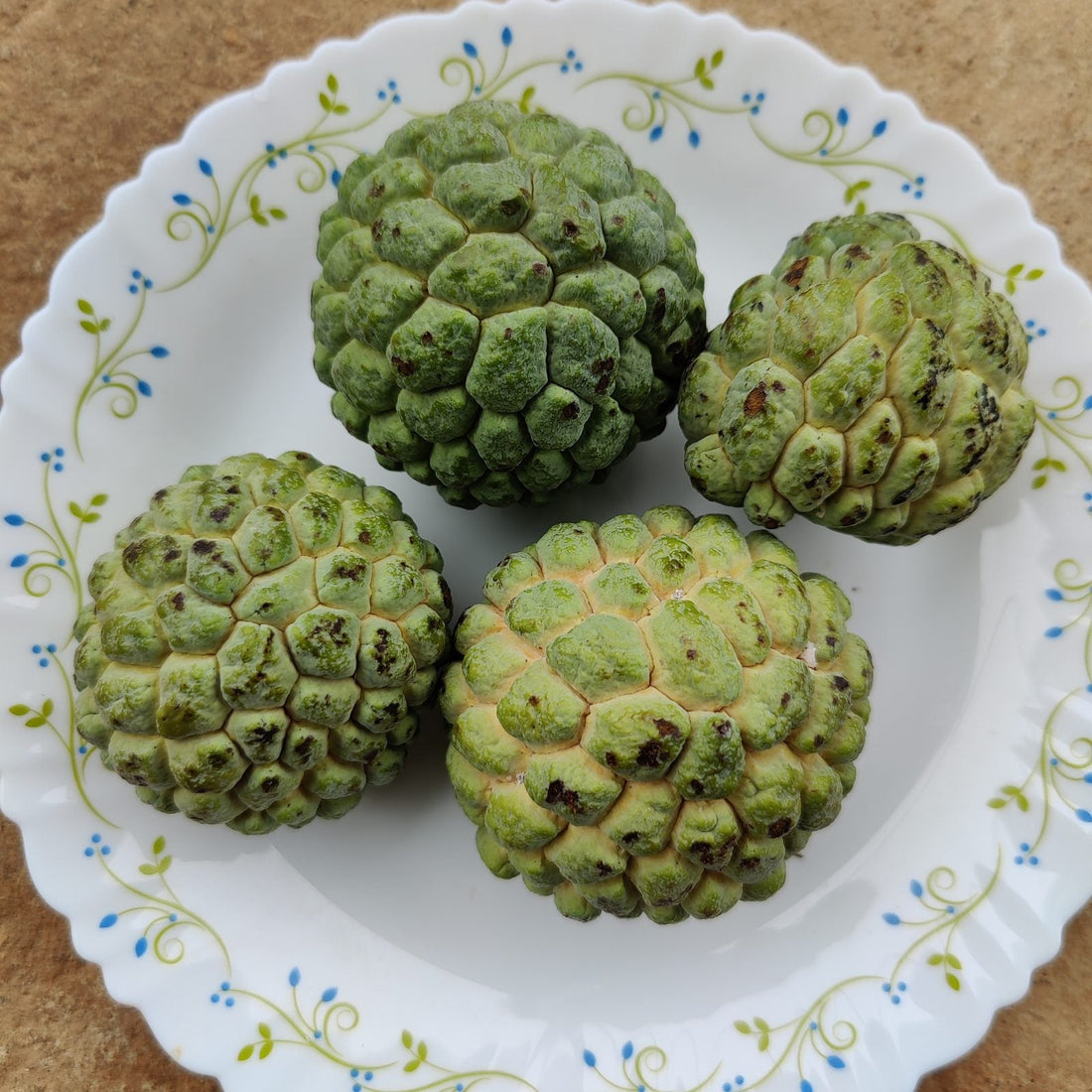 Certified organic custard apples with natural blemishes from Satva Farm, Bengaluru