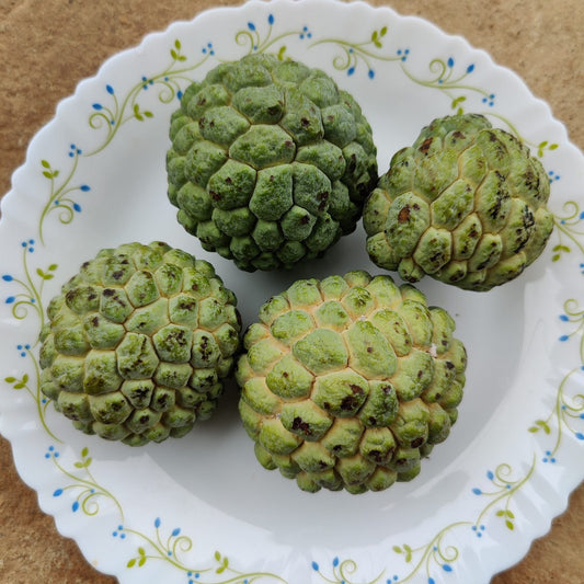 Certified organic custard apples with natural blemishes from Satva Farm, Bengaluru