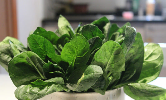 Fresh bunch of palak spinach, one of Bengaluru's everyday greens