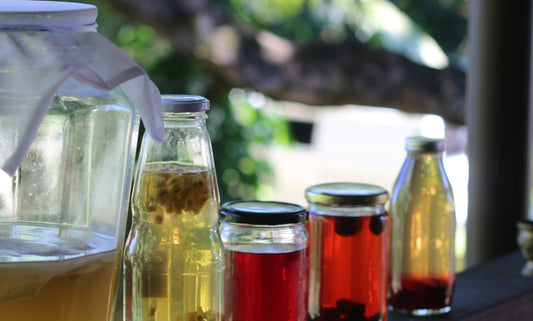 Jars of kombucha fermenting on a wooden shelf