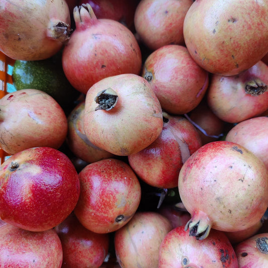 Organic pomegranates with natural blemishes and colour variation