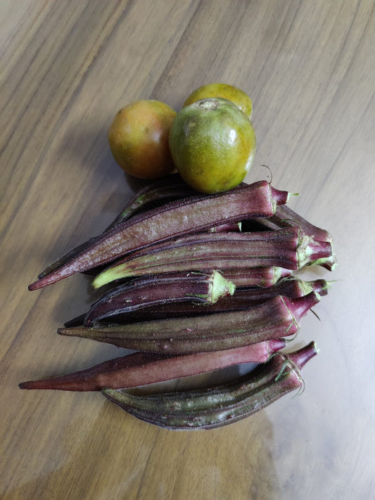 Farm-fresh purple and green okra straight from Satva Farm to Bengaluru customers