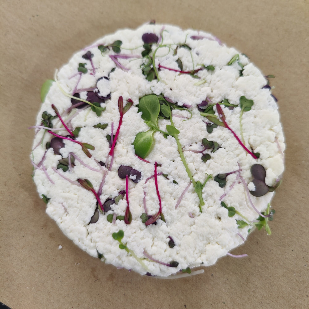 Collections – Satva Farm