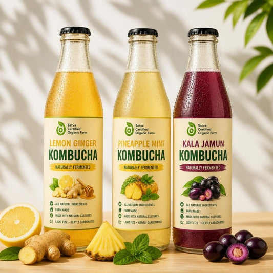 Satva Kombucha 3-Pack: Lemon Ginger, Pineapple Mint, Kala Jamun