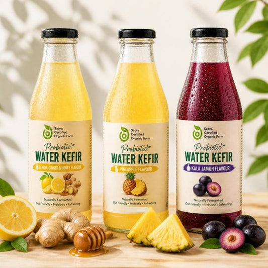 Probiotic Water Kefir 3-Pack: Lemon Ginger Honey, Pineapple, Kala Jamun