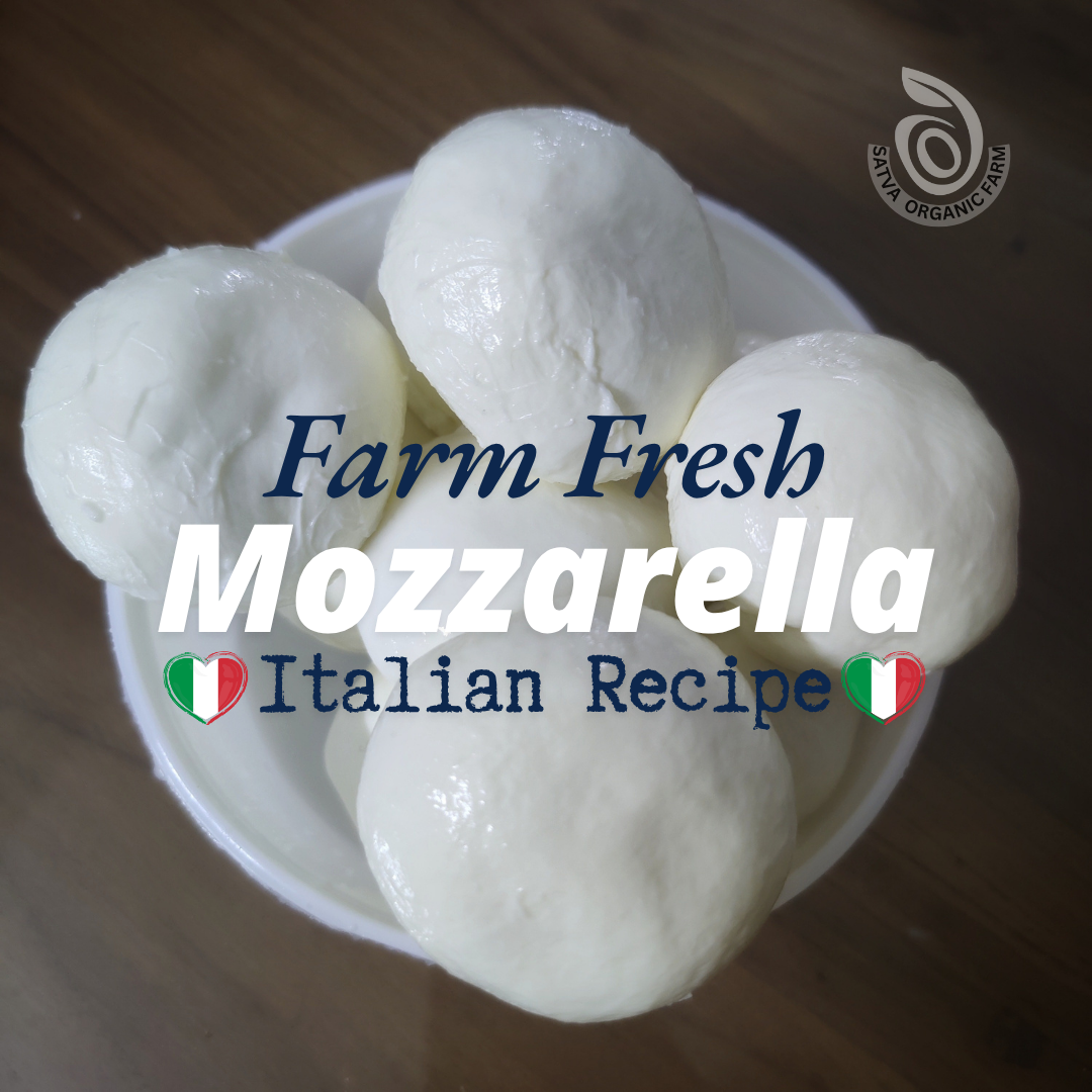 DIY Kit - Pizza Kit with Fresh Mozzarella - Satva Farm Bengaluru