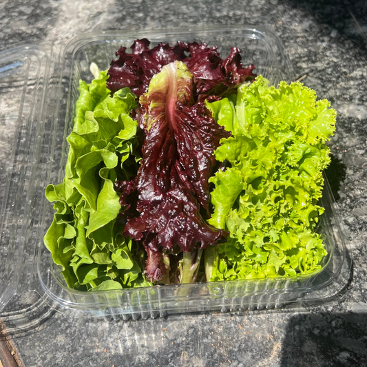Lettuce Mix - Farm Fresh (Approx. 250 gms) - Satva Farm Bengaluru