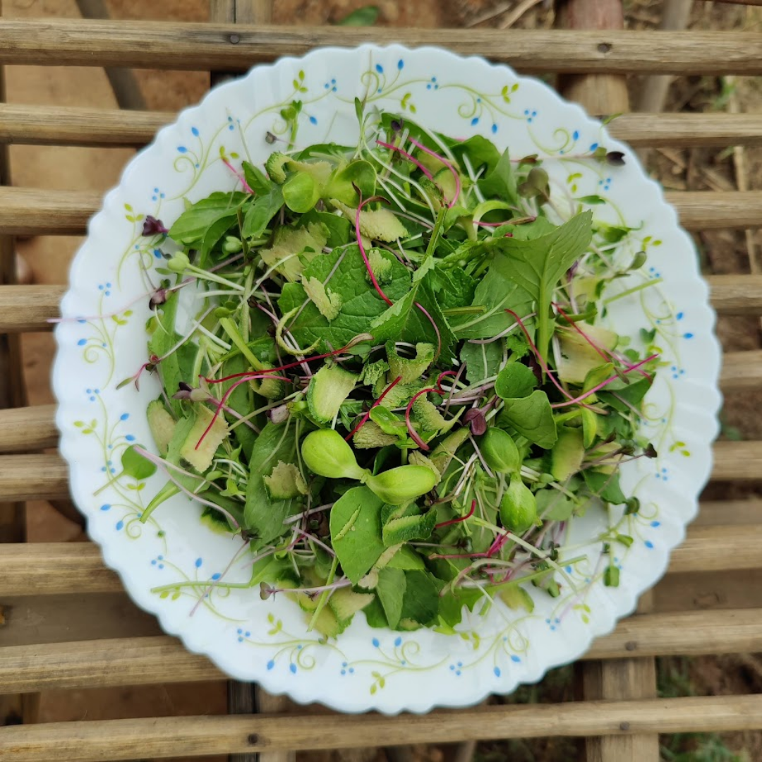 Garden Harvest Salad - Farm Fresh (Approx. 250 gms) - Bengaluru's Best - organic produce from Satva Farm Bengaluru