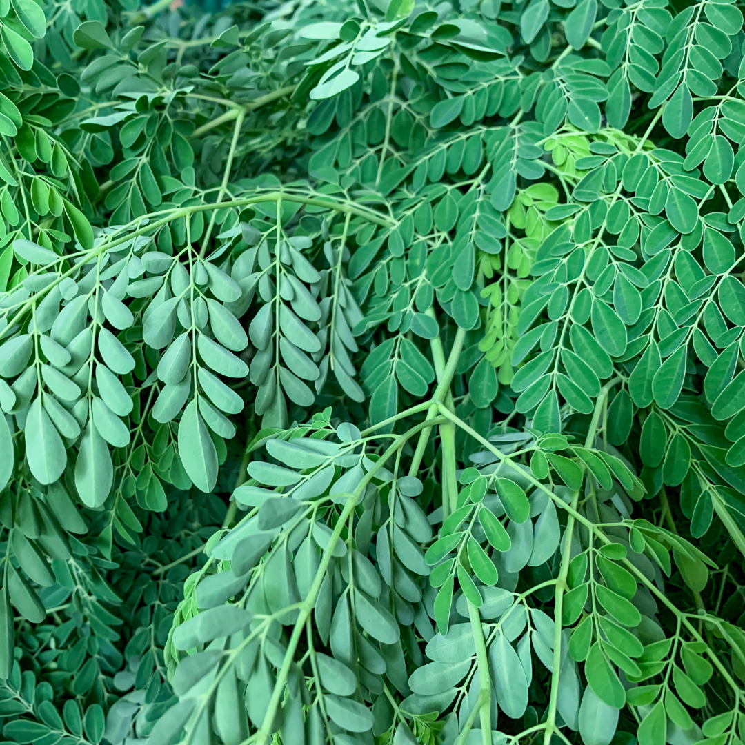 Neem Leaves - Organic - 250 gms - organic produce from Satva Farm Bengaluru