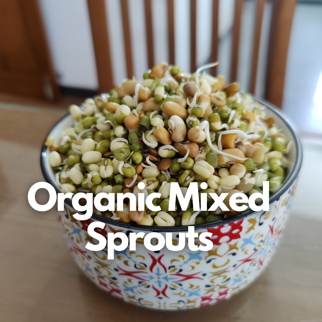 Organic Sprouts - Mixed Varieties