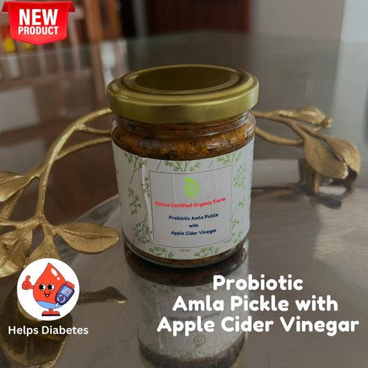 Organic Amla Pickle With Apple Cider Vinegar- 160gms