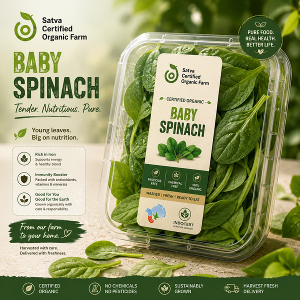 Organic pre-washed baby spinach from Satva Farm