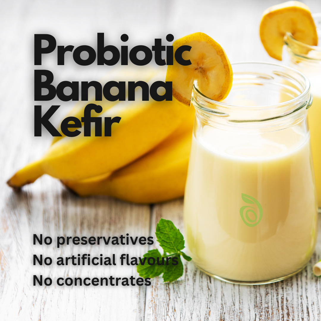 Organic Probiotic Kefir - Banana - 220 ml – Satva Farm Organic Probiotic Kefir - Banana - 220 ml – Satva Farm