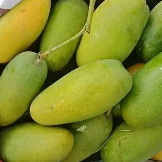 Dusheri Mangoes - Certified Organic (1 Kg)
