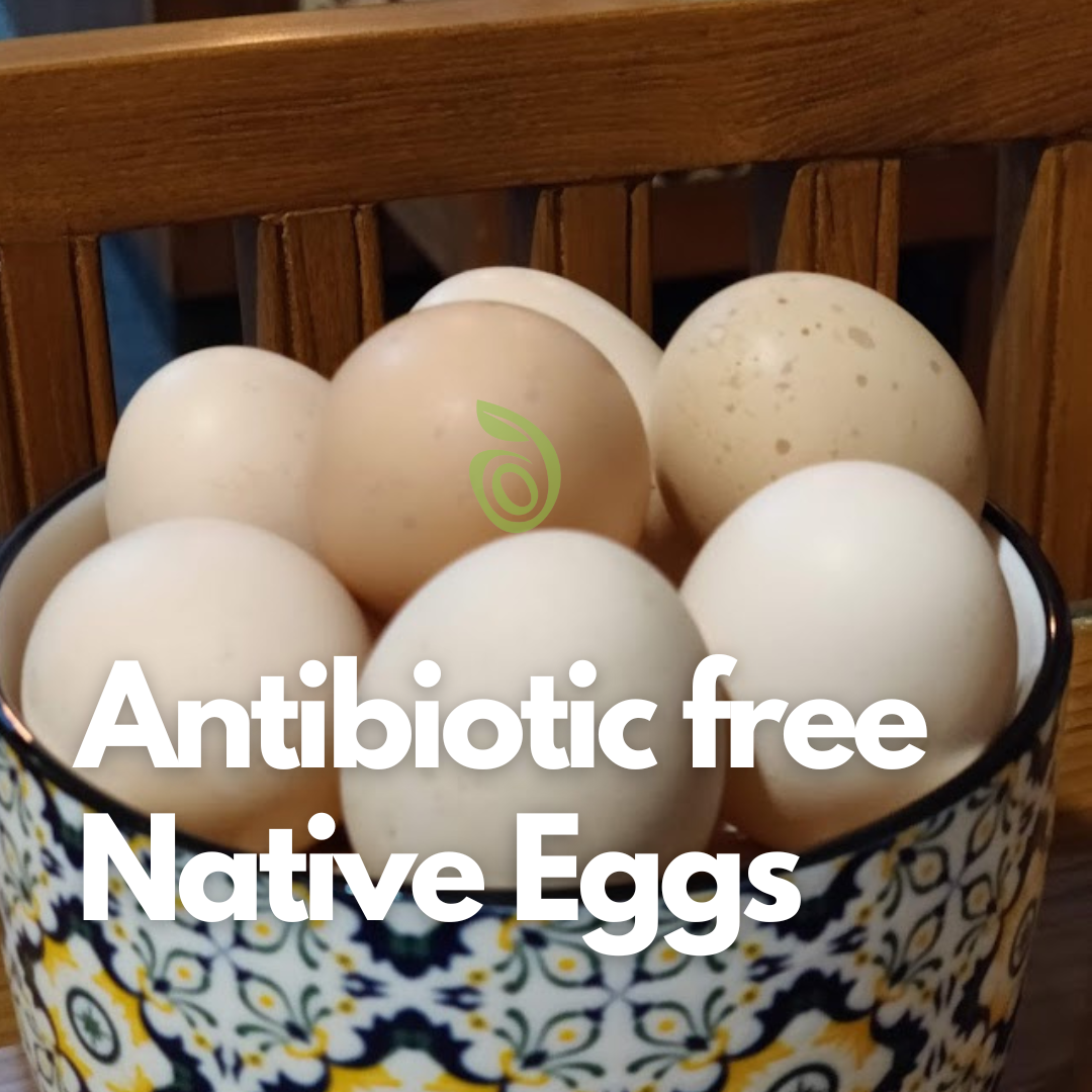 Eggs - Native, Antibiotic Free – Satva Farm