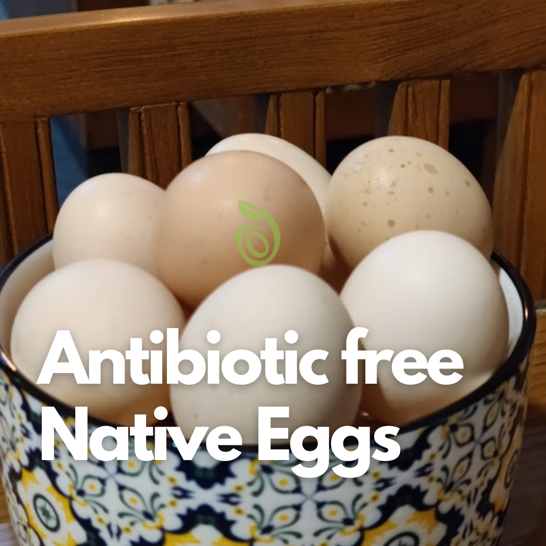 Eggs - Native, Antibiotic Free
