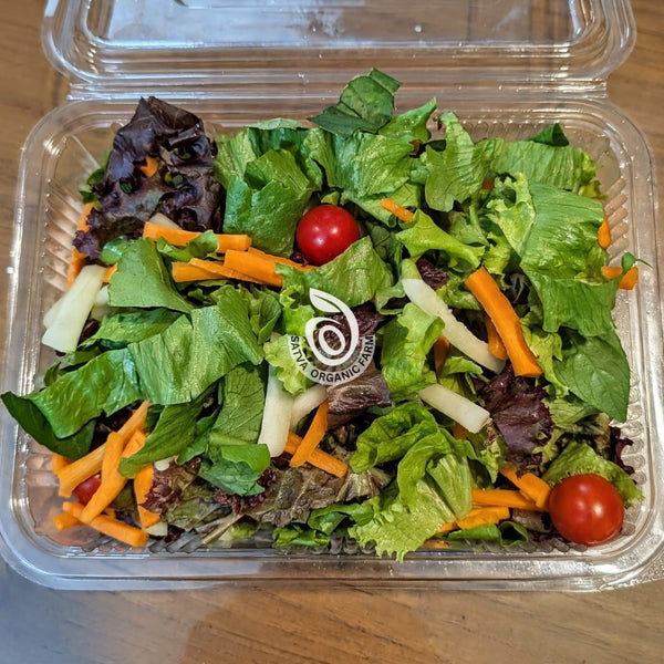 Garden Harvest Salad from Satva Farm