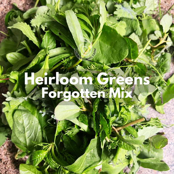 Organic heirloom greens mix from Satva Farm
