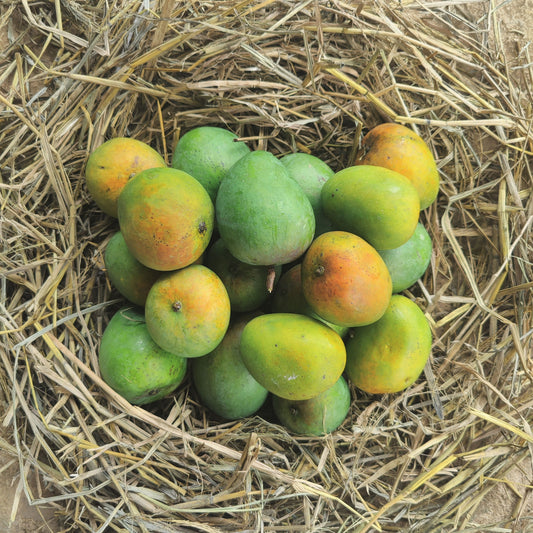 Badami Mangoes - Certified Organic (1 Kg)