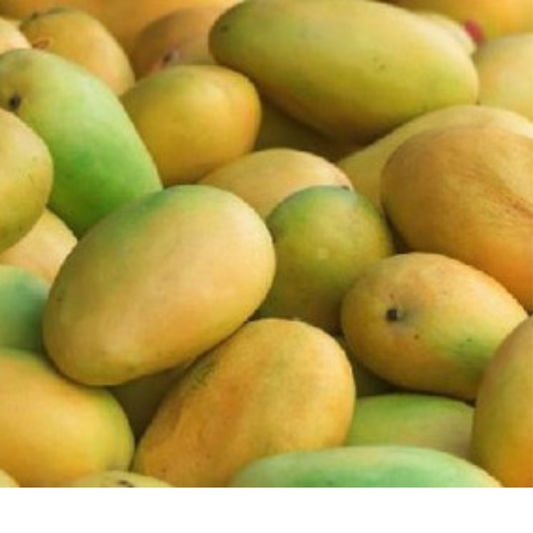 Kesar Mangoes - Certified Organic (1 Kg)
