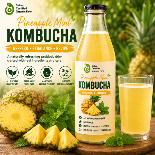 Kombucha - Pineapple Mint - 350 ml