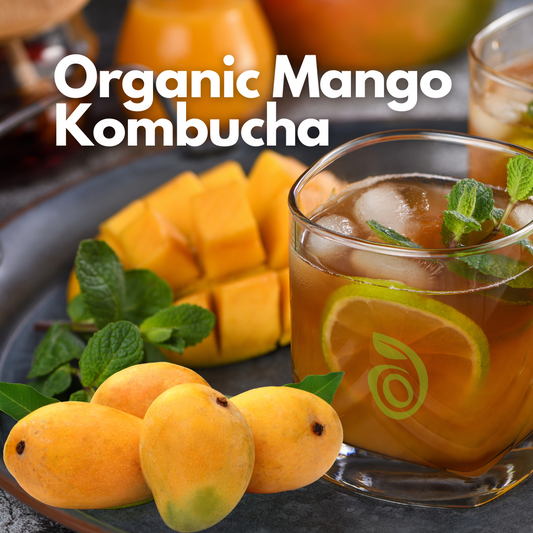 Kombucha - Organic Mango - 350 ml