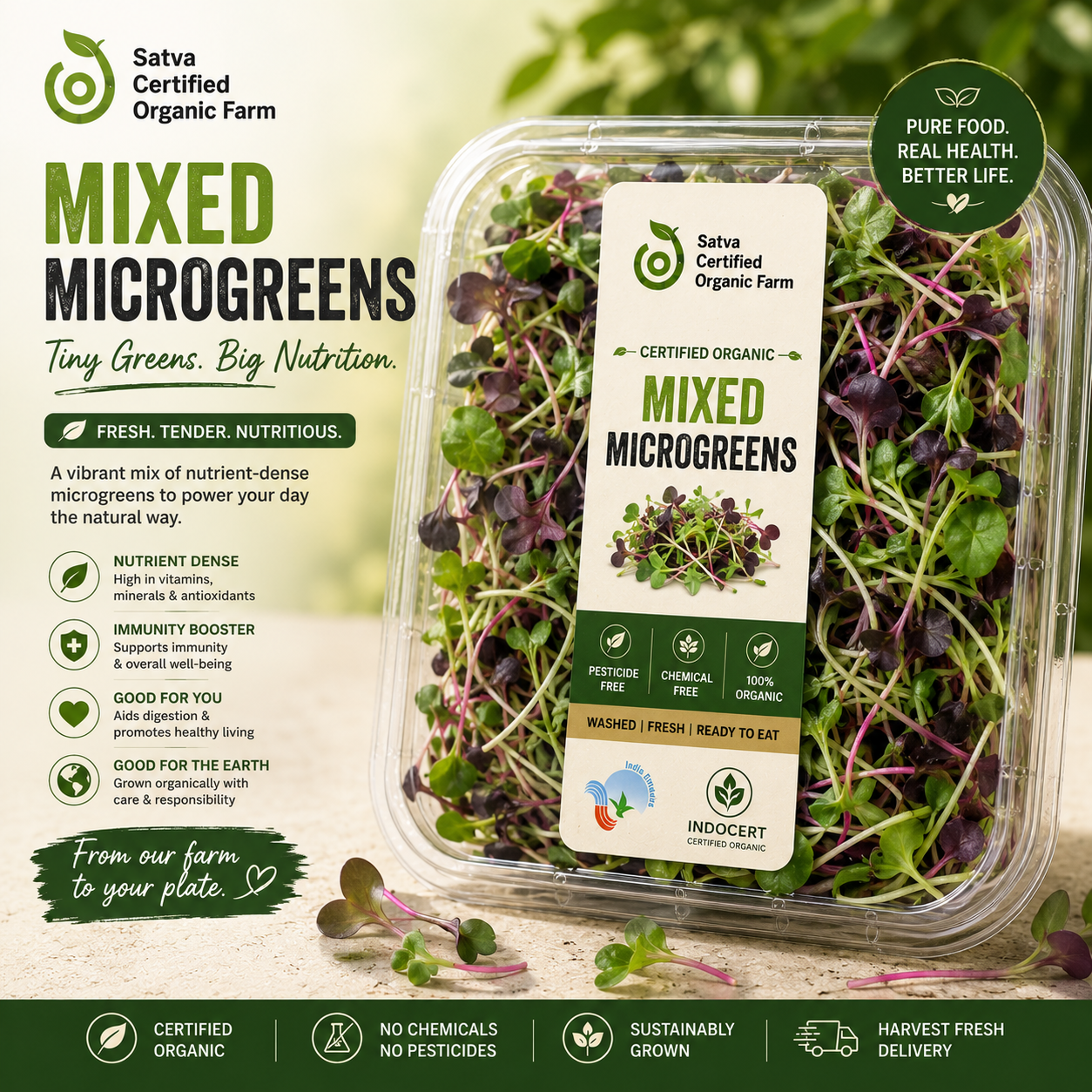 Microgreens - Premium Mix - Organic - 1 Box (75 gms)