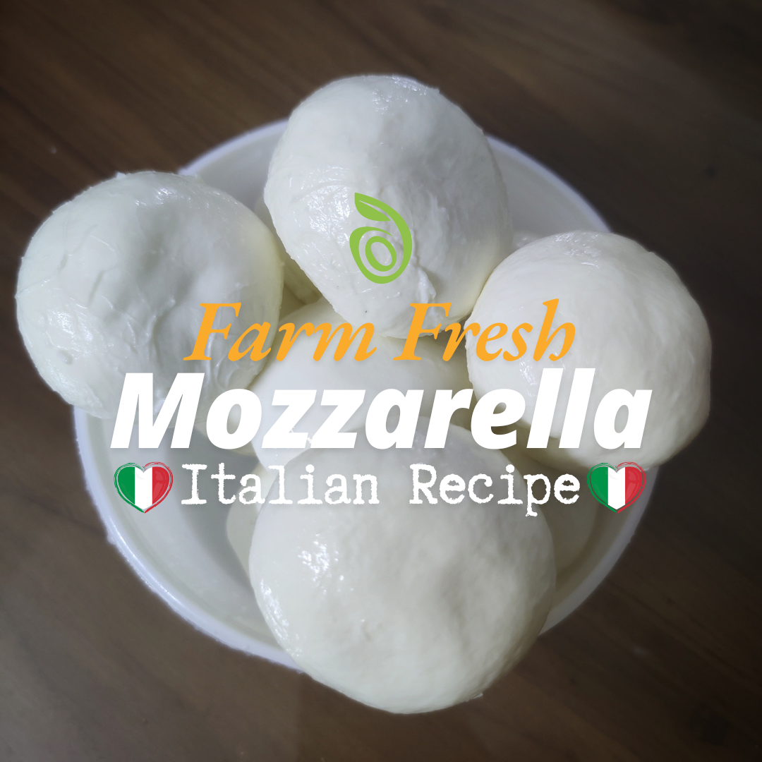 Fresh Mozzarella Cheese - 120 gms