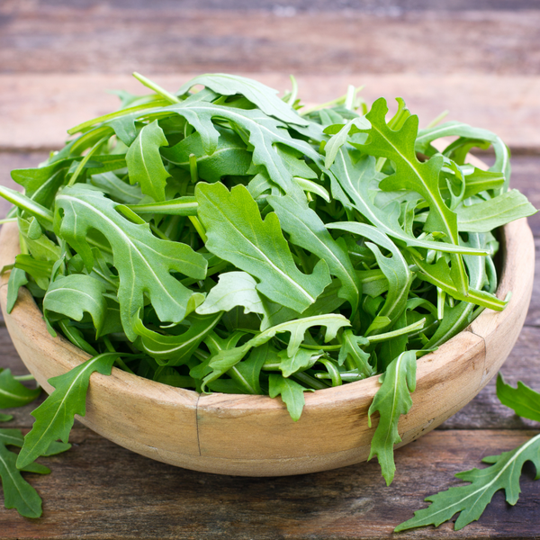 Fresh organic arugula rocket leaves from Satva Farm