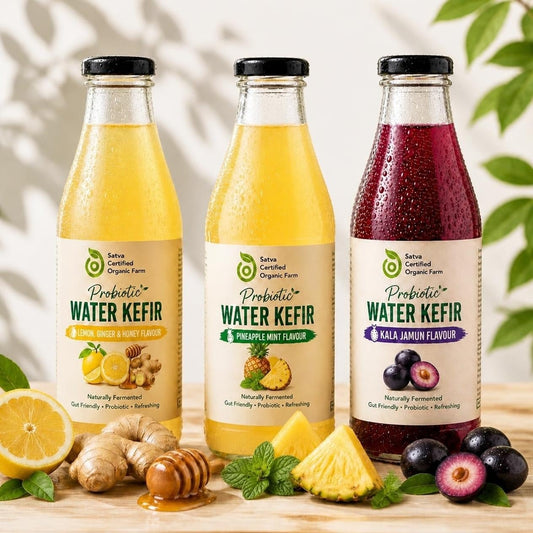 Probiotic Water Kefir 3-Pack: Lemon Ginger Honey, Pineapple Mint, Kala Jamun