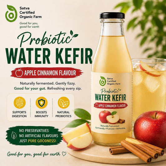 Organic apple cinnamon water kefir bottle - Satva Farm Bengaluru