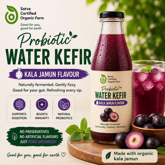Probiotic Water Kefir - Organic Kala Jamun