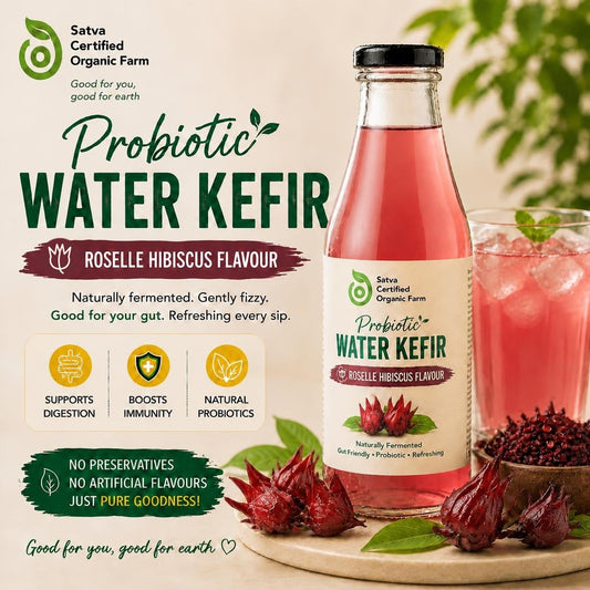 Organic roselle hibiscus water kefir bottle - Satva Farm Bengaluru