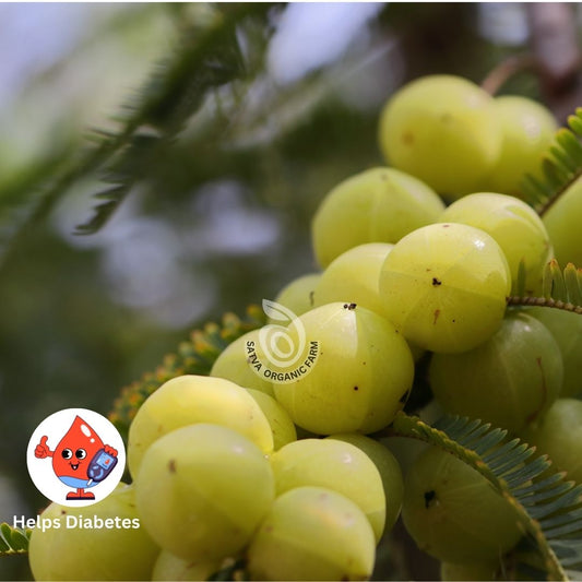 Organic Amla (Gooseberry)- 250g