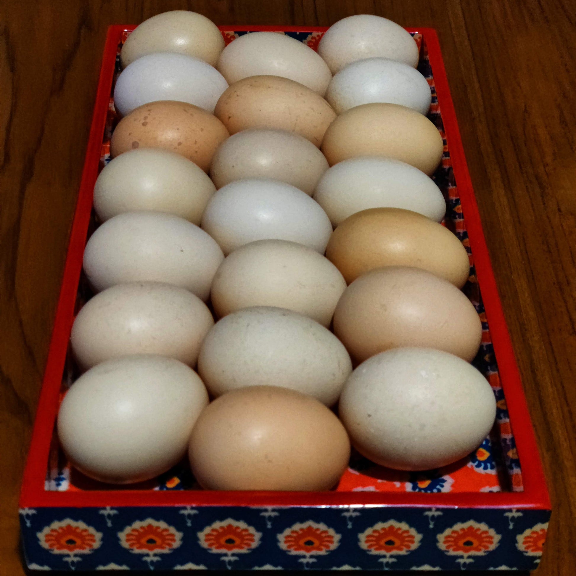 A rectangular decorative tray holding 20 eggs, arranged in five rows of four. The eggs are mostly off-white with several light brown speckled eggs.