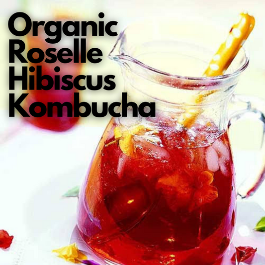 Kombucha - Roselle Hibiscus - 350 ml