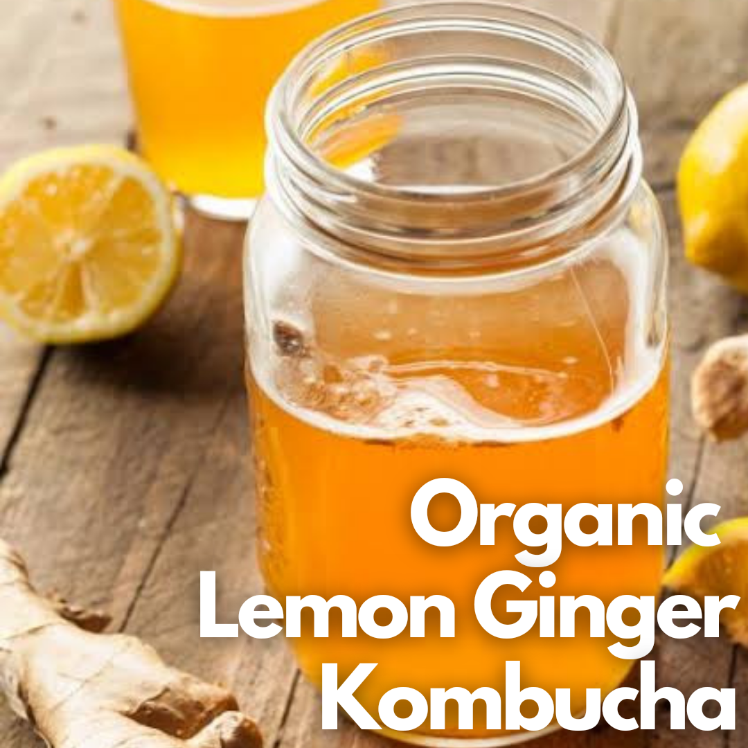 Kombucha - Lemon Ginger - 350ml