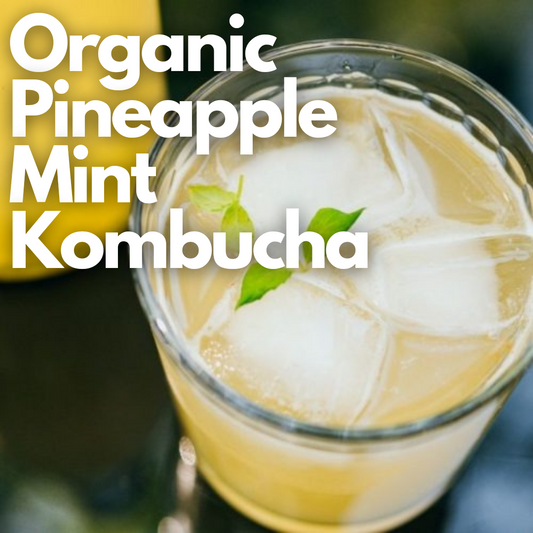 Kombucha - Pineapple Mint - 350 ml