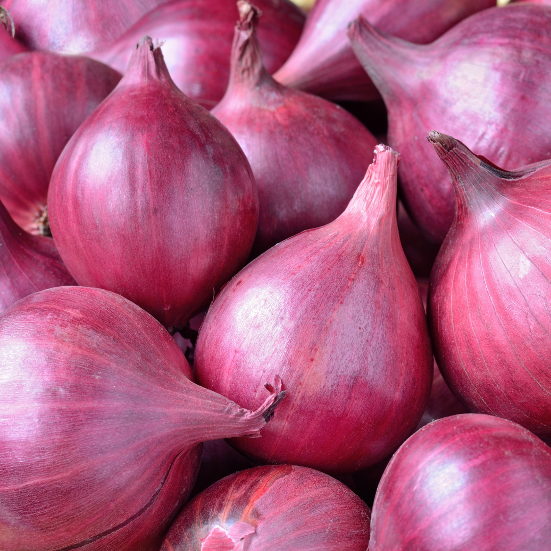 Onion - Organic