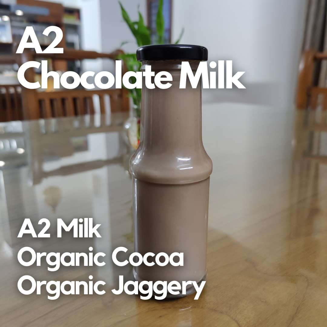 Chocolate Milk - 200 ml