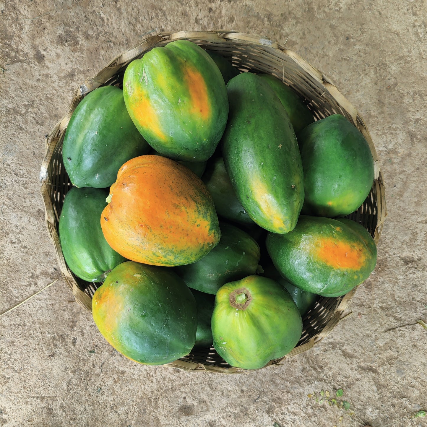 Papaya (Semi Ripe) - Organic