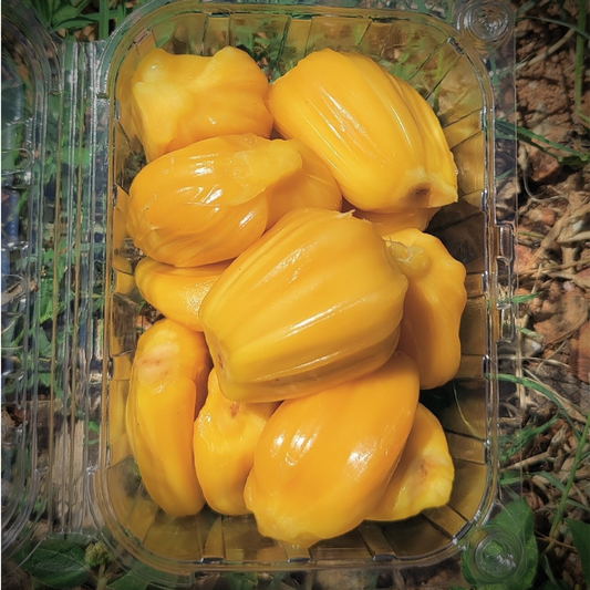 Hygienically Peeled Jackfruit - Tubagere Variety - (300-350 gms)